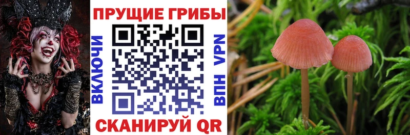 Псилоцибиновые грибы ЛСД  Ханты-Мансийск 